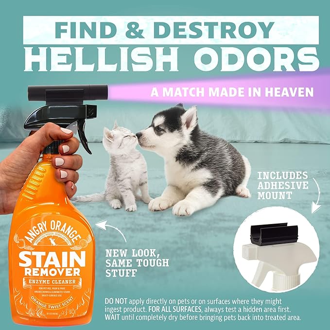 ANGRY ORANGE Pet Stain & Odor Remover Kit for Dog Urine - Enzyme Cleaner - Citrus - 32 oz + UV Flashlight