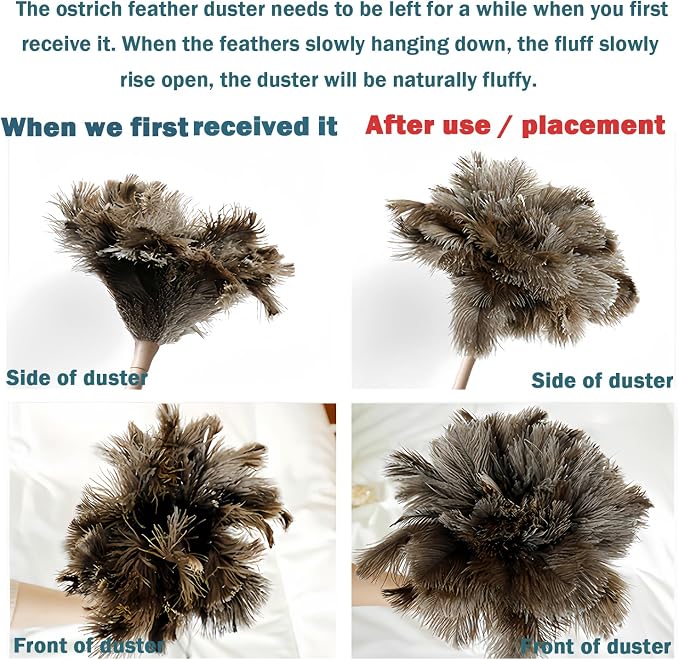 DDZMZ Ostrich Feather Duster for Cleaning with Wooden Handle,16",Brown | Genuine Natural Fluffy,Reusable and Washable,Gentle on Delicate Surfaces,for Home,Furniture,Desk