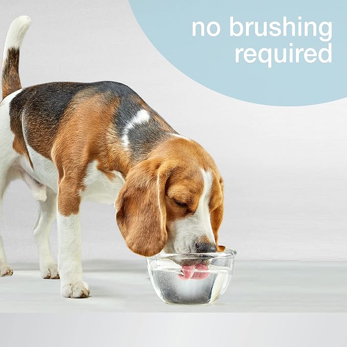 Nylabone Advanced Oral Care Pet Dental Water Additive, Liquid Tartar Remover & Breath Freshener for Dogs, Dog Teeth-Cleaning, Original Flavor, 32 oz. | Liquid tartar remover, breath freshener, original flavor