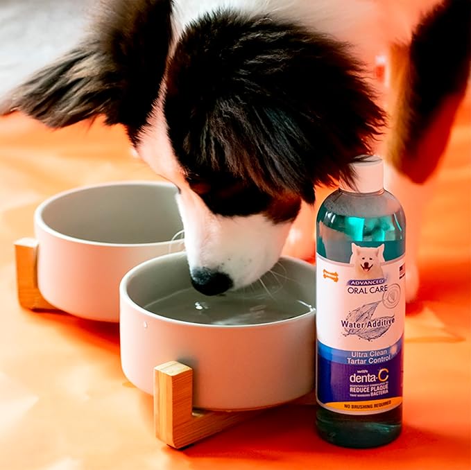 Nylabone Advanced Oral Care Pet Dental Water Additive, Liquid Tartar Remover & Breath Freshener for Dogs, Dog Teeth-Cleaning, Original Flavor, 32 oz. | Liquid tartar remover, breath freshener, original flavor