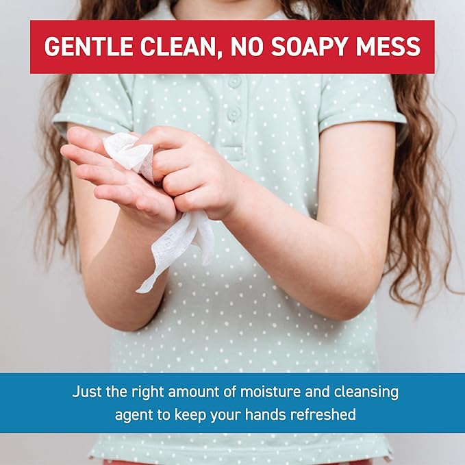 WipeEssentials Hand Sanitizer Wipes for Adults & Kids - 360 Count, 12 Packs | Alcohol-Free, Moisturizing Sanitizing Wipes with Aloe Vera & Vitamin E - Unscented & Travel Size With No Soapy Residue