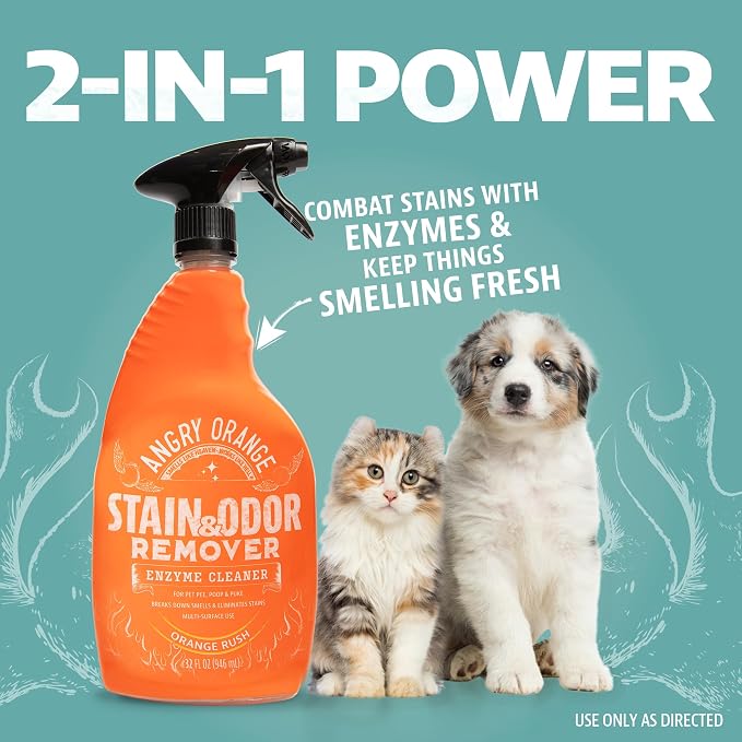 ANGRY ORANGE Stain & Odor Remover - 32oz Pet Urine Enzyme Cleaner - Enzymatic Dog & Cat Pee Destroyer and Odor Eliminator - NEW Orange Rush Scent Cleaning Solution for Home