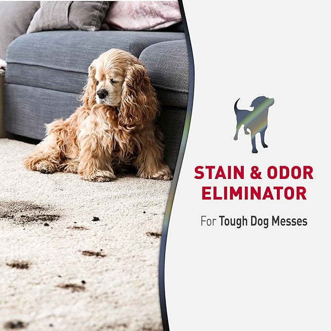 Nature’s Miracle Advanced Dog Stain & Odor Eliminator, Severe Mess, 32 oz | Enzymatic Cleaner Eliminates the Toughest Dog Messes, For Use on Multiple Surfaces, Safe For Pets and Home*, Fresh Scent