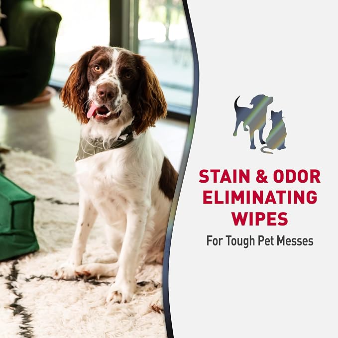 Nature's Miracle Advanced Pet Stain & Odor Eliminating Wipes, 30 Count | Enzymatic Cleaner Eliminates Tough Pet Messes, Quick Clean-Up For Hard Surfaces, Safe For Pets and Home*, Fresh Scent