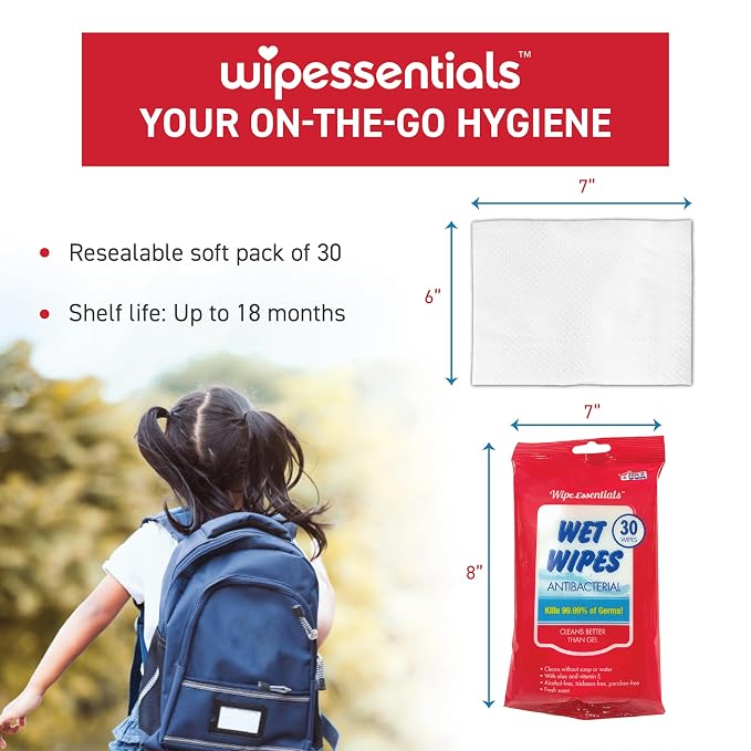 WipeEssentials Hand Sanitizer Wipes for Adults & Kids - 360 Count, 12 Packs | Alcohol-Free, Moisturizing Sanitizing Wipes with Aloe Vera & Vitamin E - Unscented & Travel Size With No Soapy Residue
