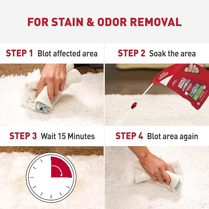 Nature's Miracle Advanced Dog Stain & Odor Eliminator Foam, 64 oz | Enzymatic Cleaner Eliminates the Toughest Dog Messes, Flip & Go Continuous Sprayer, Safe For Pets and Home*, Fresh Scent