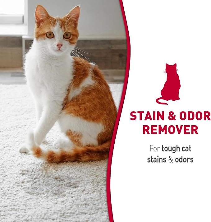 Nature’s Miracle Cat Stain & Odor Remover Foam, Enzymatic Cleaner, 17.5 oz | Tough on Cat Urine, Feces, Vomit, Drool and Other Organic Stains and Odors, Foam Penetrates Into the Carpet, Fresh Scent