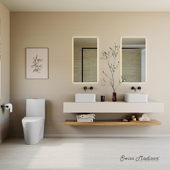 St. Tropez One-Piece 10" Rough-in 1.1/1.6 GPF Dual Top Vortex Flush Elongated Toilet in Matte White