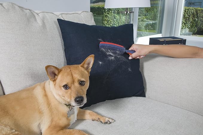 FURemover Duo Pet Hair Rubber Brush, Dual Sided to Easily Remove Fur & Lint from Clothing and Upholstery, Thick Bristles Groom Dogs and Cats, Easy to Clean, Colors May Vary (Pack of 12)