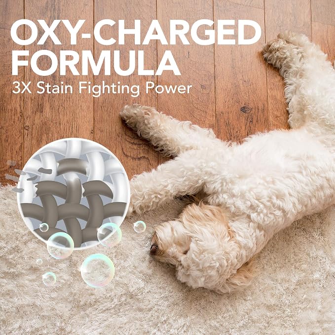 Simple Solution Oxy Charged Pet Stain and Odor Remover | Eliminates Pet Stains and Odors with 3X Cleaning Power | Orange Scent | 32 Ounces